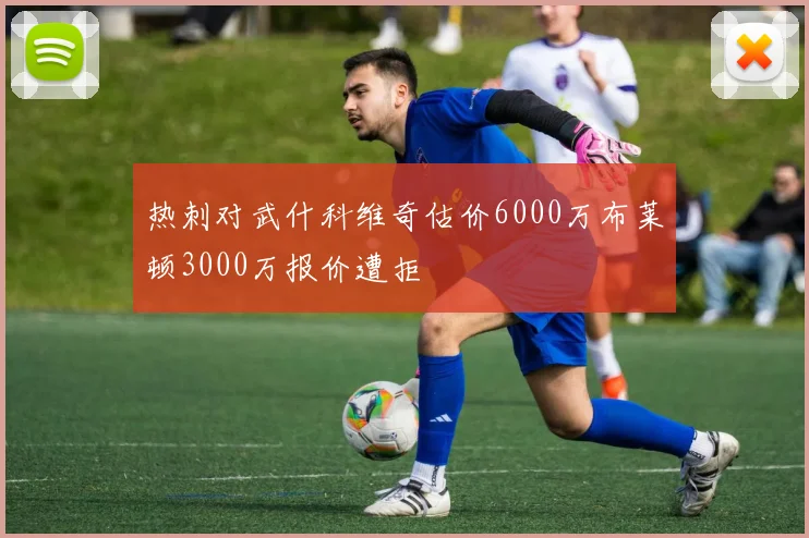 热刺对武什科维奇估价6000万布莱顿3000万报价遭拒