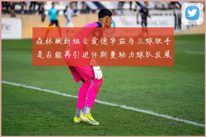 森林狼新组合爱德华兹与三球联手是否能再引进怀斯曼助力球队发展