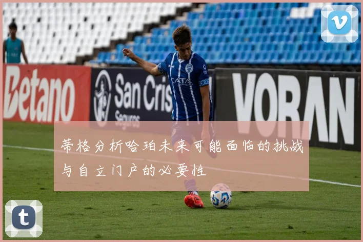 蒂格分析哈珀未来可能面临的挑战与自立门户的必要性